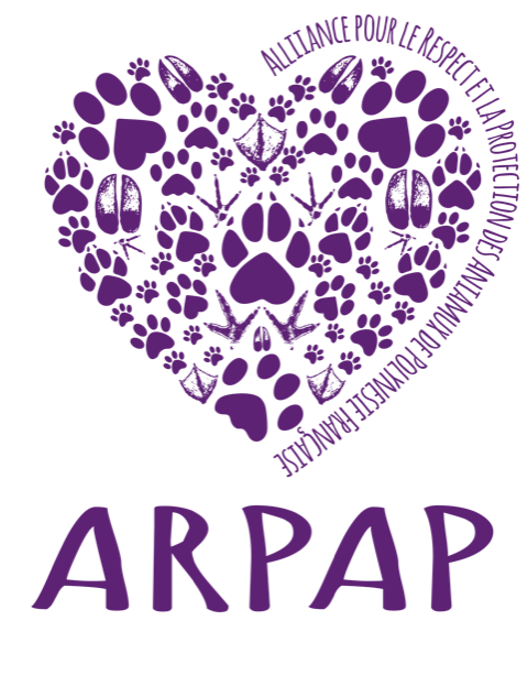 ARPAP